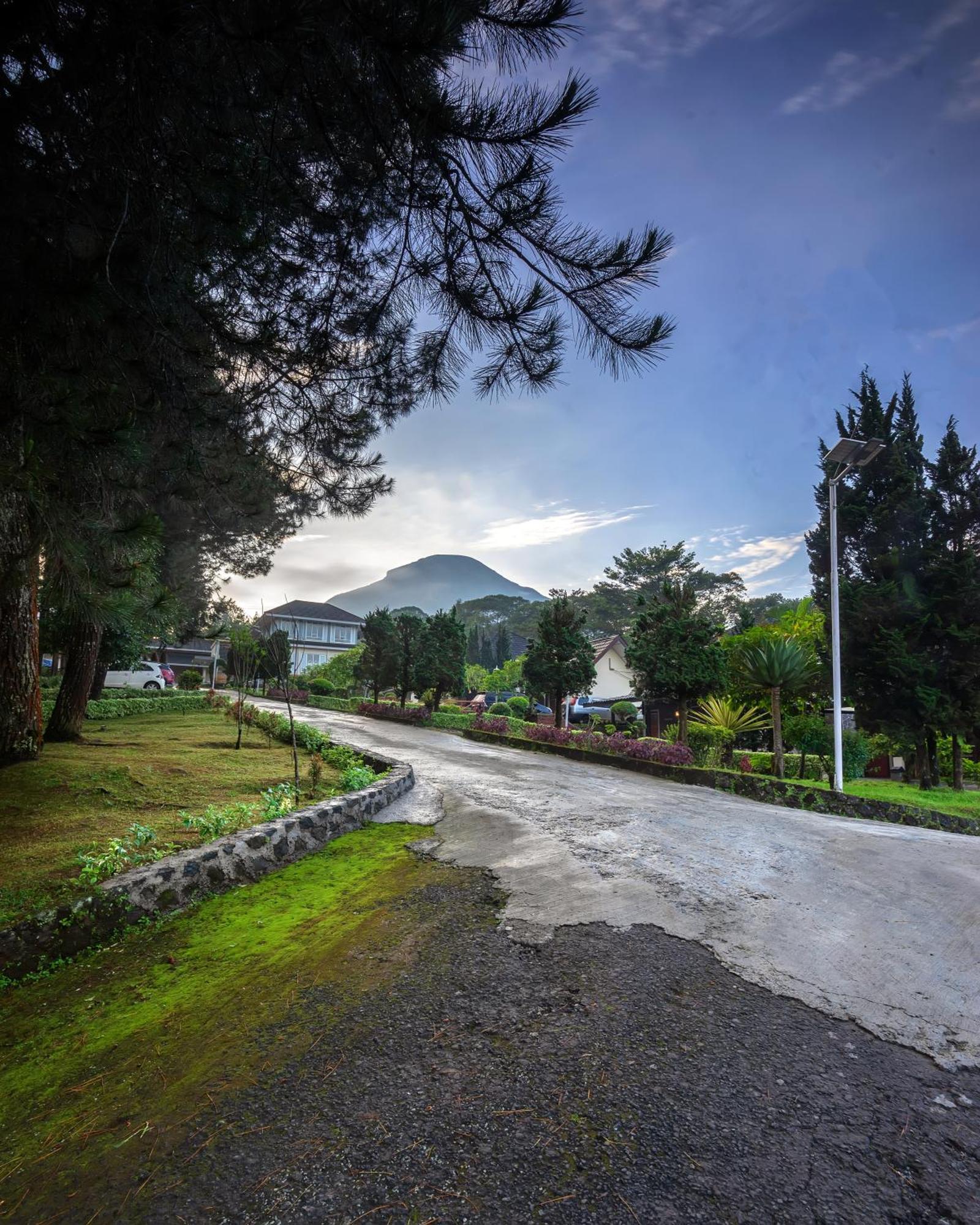 Tambi Tea Resort Kejajar エクステリア 写真